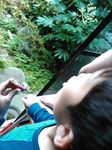 1510539865279.jpg