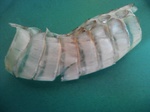 NCM_0091.JPG
